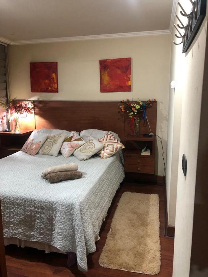 Acogedor Departamento Santa Beatriz 81 Providencia