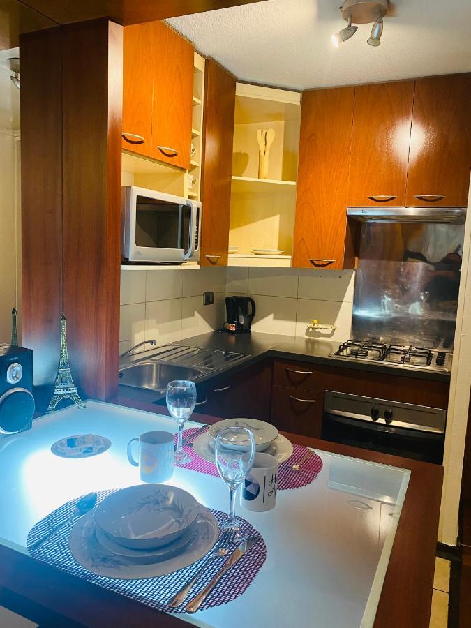 Apart Bellas Artes Apartment Santiago