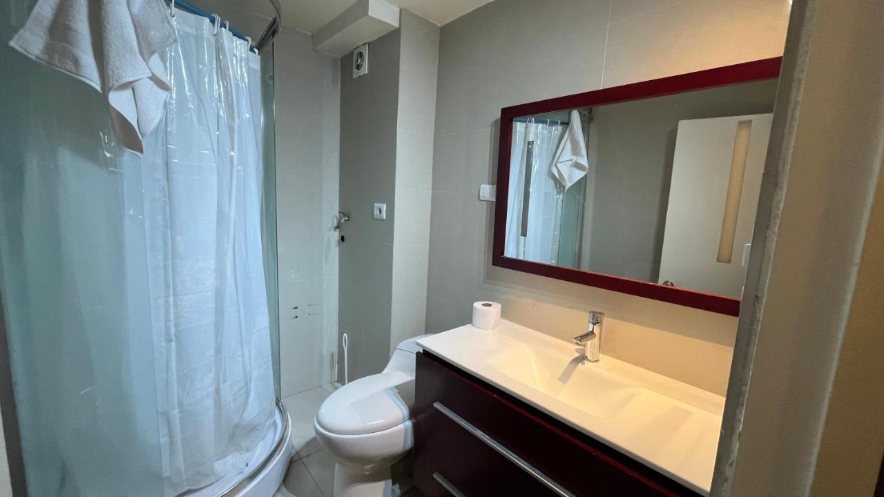 Centrico Departamento A Metros De Barrio Lastarria Santiago