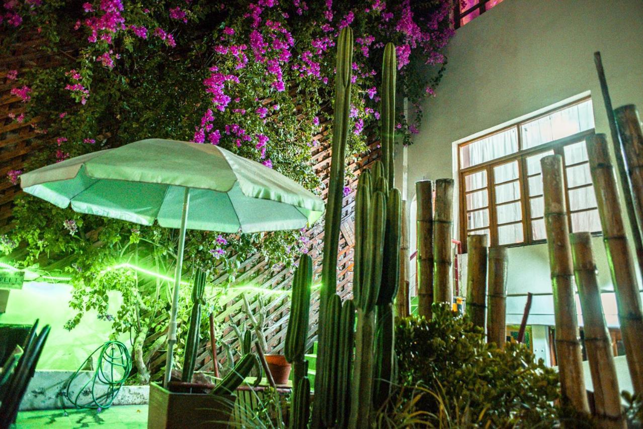 Bella 269 Guest house 2*