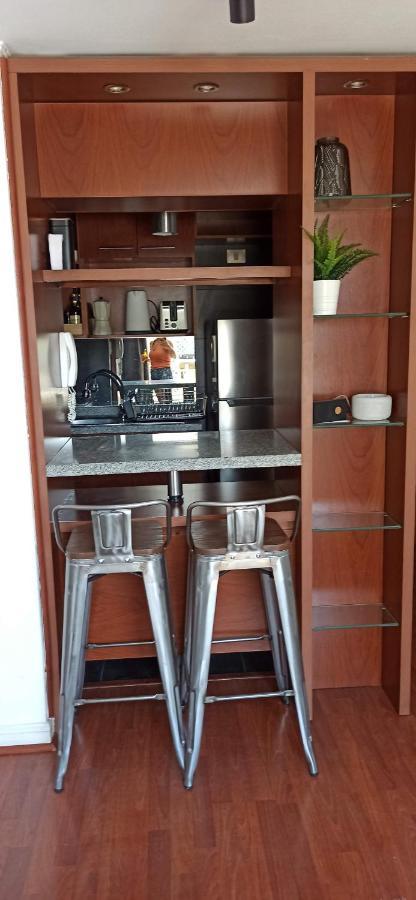 En El Corazon Del Barrio Providencia, Tranquilo Y Confortable Departamento Santiago