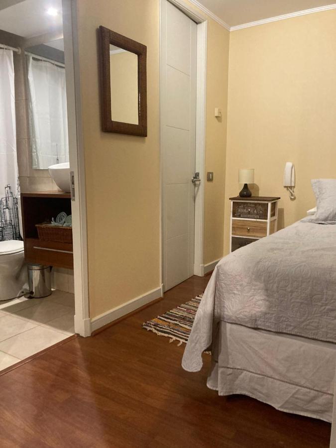 Apartment Depa Providencia, Barrio Historico, Metro Manuel Montt