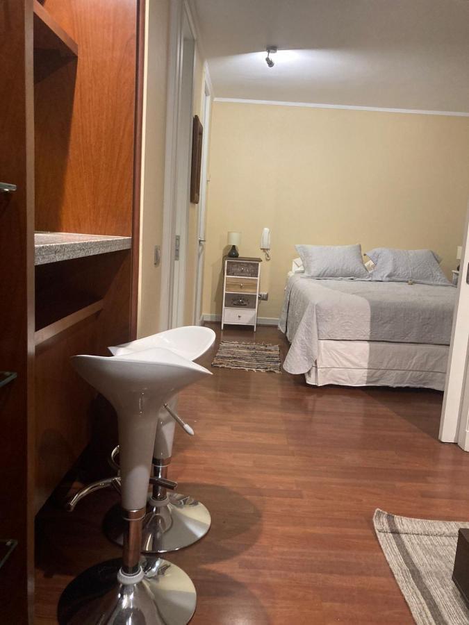 Apartment Depa Providencia, Barrio Historico, Metro Manuel Montt *