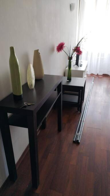 Comodo, Amplio Y Centrico Departamento Apartment