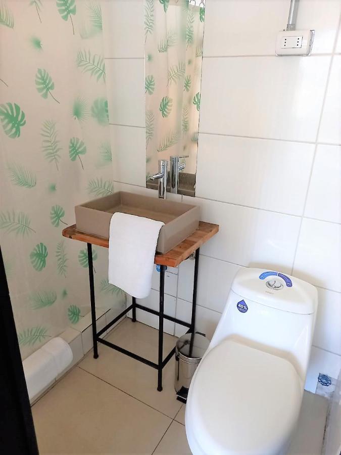 Apartment Hermoso Loft Industrial, Con Terraza. *