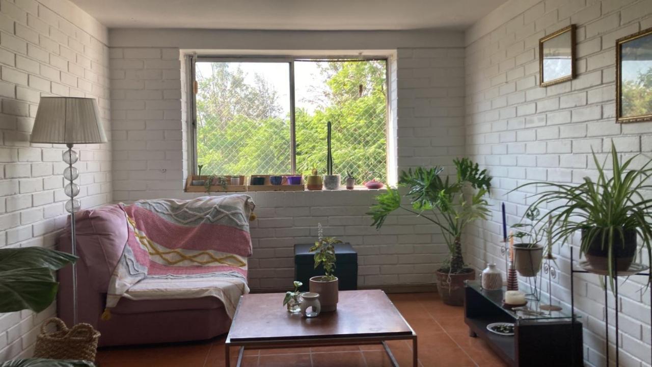 Casa Lily