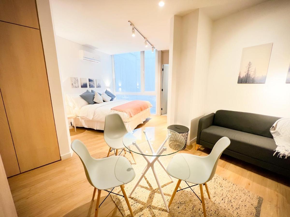 Hom I Elegante Depto Loft En El Corazon De Lastarria Santiago de Chile
