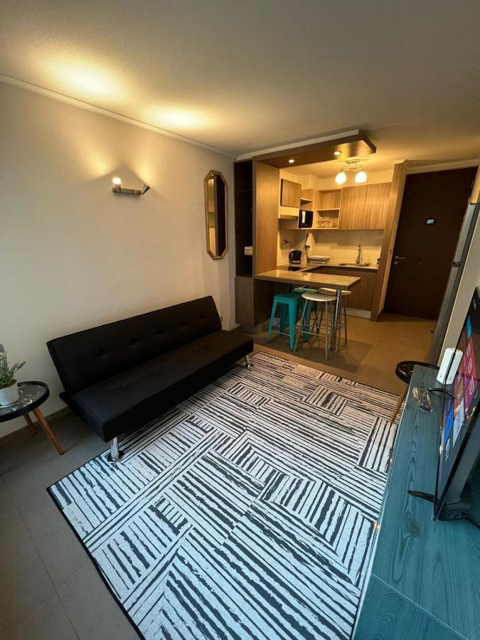 Comodo Y Centrico Departamento * Santiago