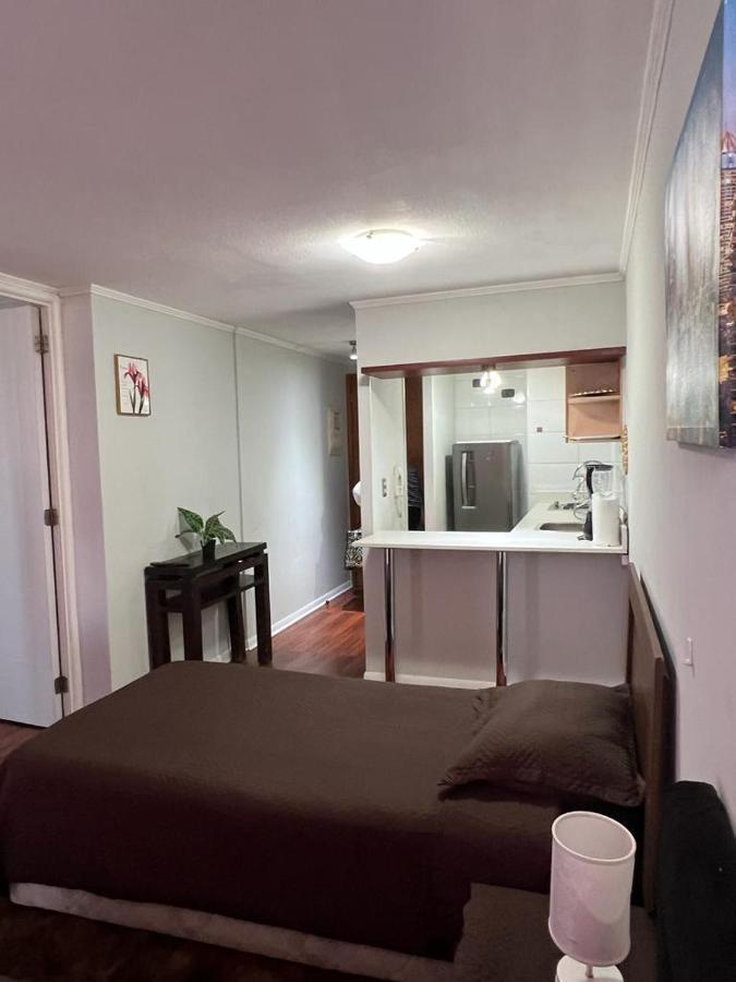 1324-19 Apartment Santiago