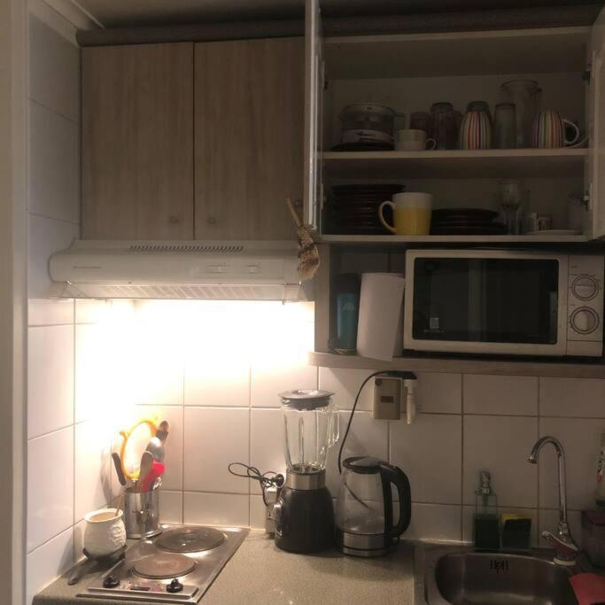 Apartment Amoblado , En El Corazon De Providencia, Incluye Estacionamiento