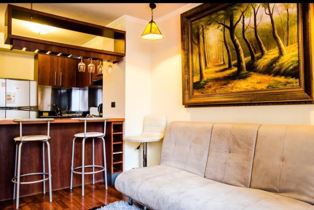 Estupendo Depto, Ambiente Tranquilo En Providencia Apartment