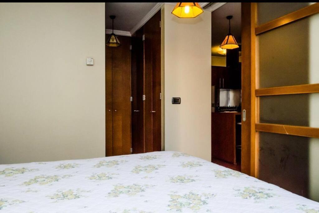 Estupendo Depto, Ambiente Tranquilo En Providencia Apartment *