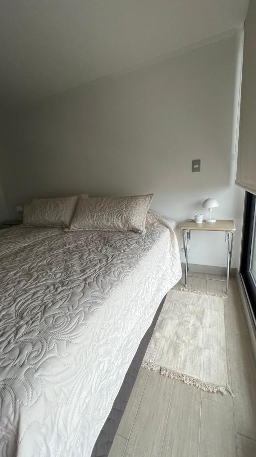 Apartment Departamento Entero, Cerca Plaza Egana, Estacionamiento Gratis *