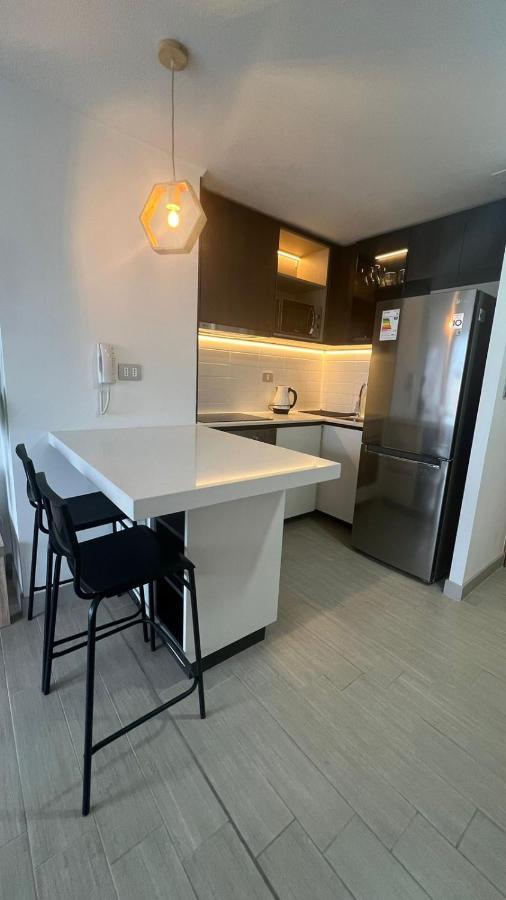 Apartment Departamento Entero, Cerca Plaza Egana, Estacionamiento Gratis Santiago