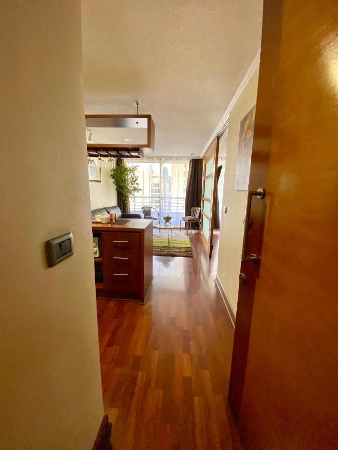 Comodo Departamento Providencia Cerca De Todo Apartment Santiago