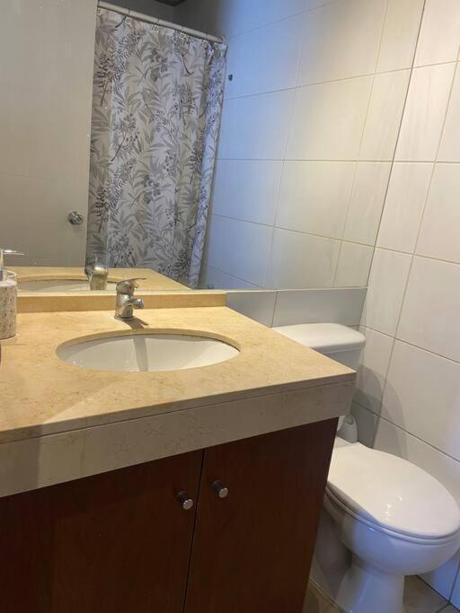 Departamento Con Piscina Santiago
