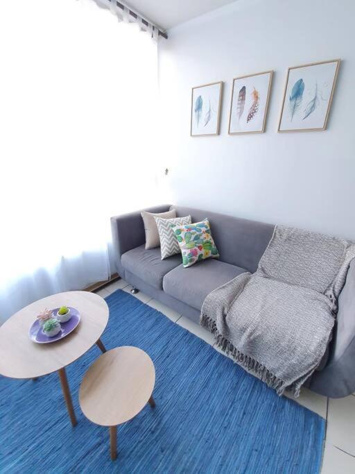 Apartment Hermosos Departamentos Con Estacionamiento Gratuito, Full Equipados A Pasos Del Metro Santiago