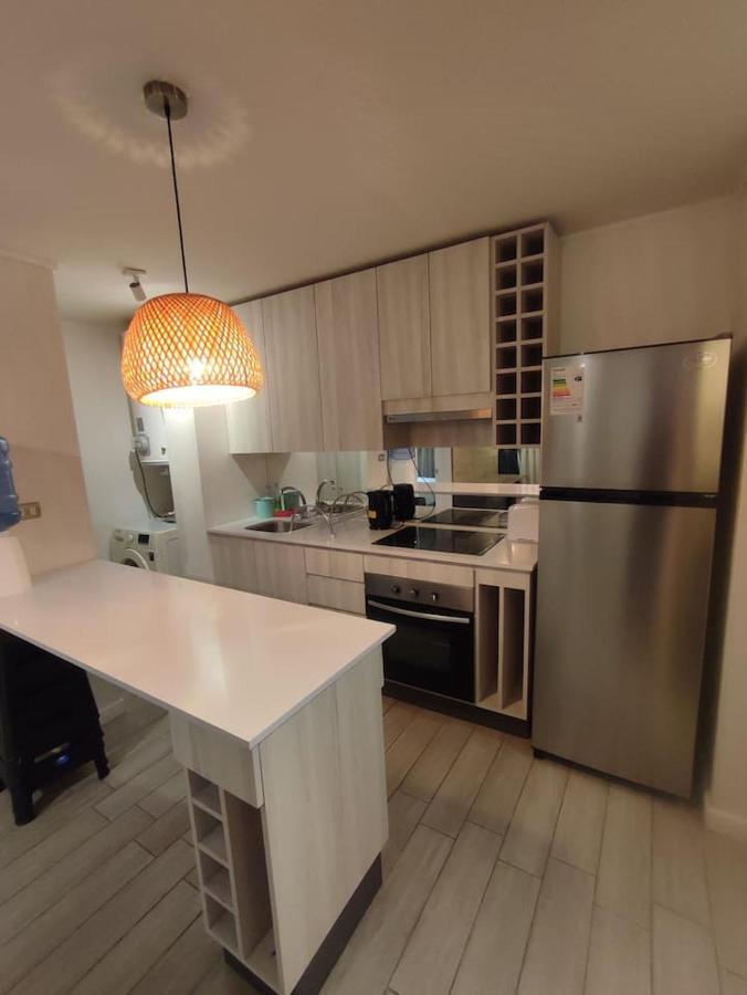 Lindo Acogedor Y Moderno Departamento Amueblado * Santiago