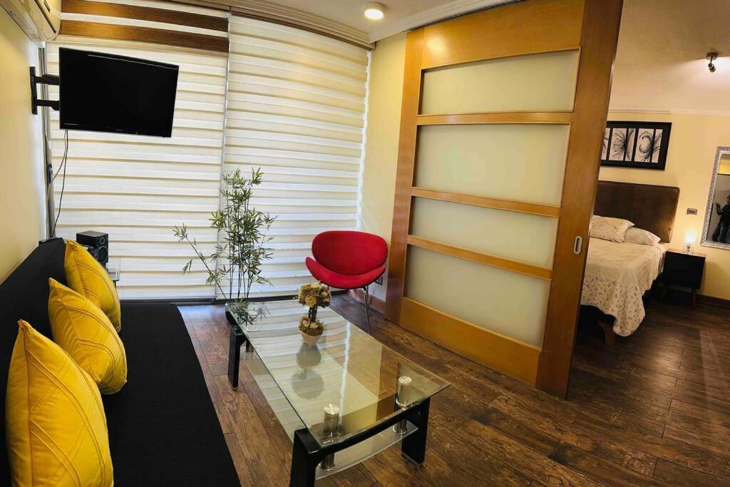 Hermoso Y Comodo Depto En Providencia Apartment