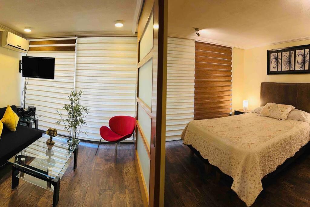 Hermoso Y Comodo Depto En Providencia Apartment