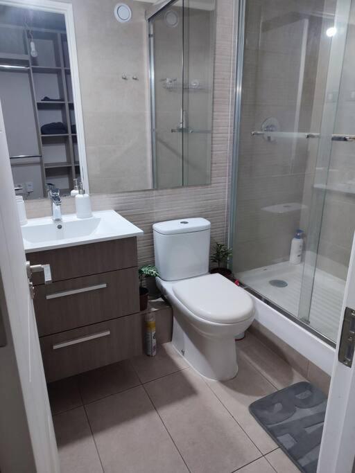 Apartment Comodo Departamento 1d1b Para Dos Personas Santiago