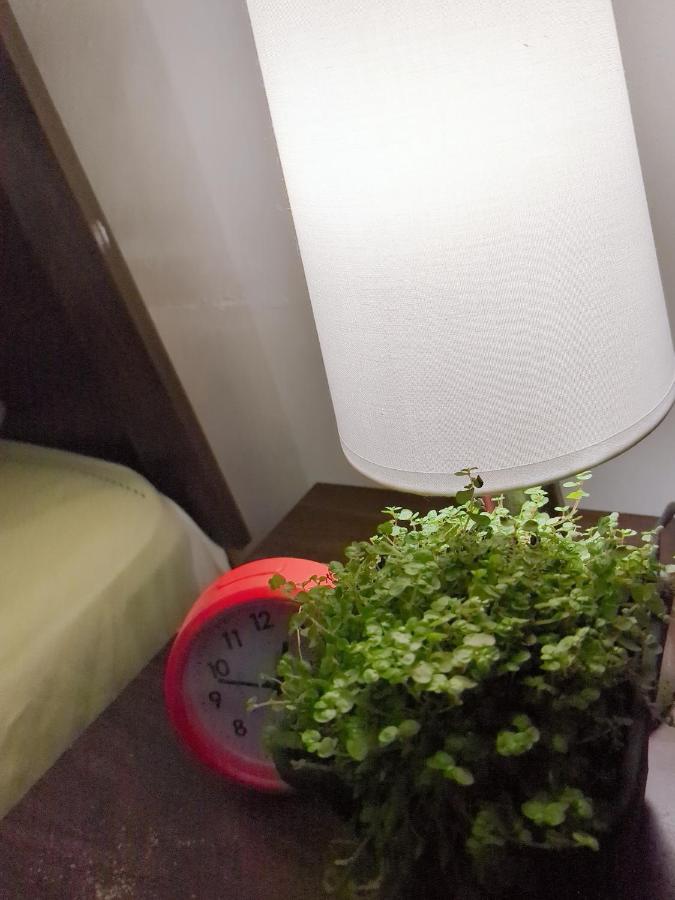 Amplia En C3ntro Ở trọ *