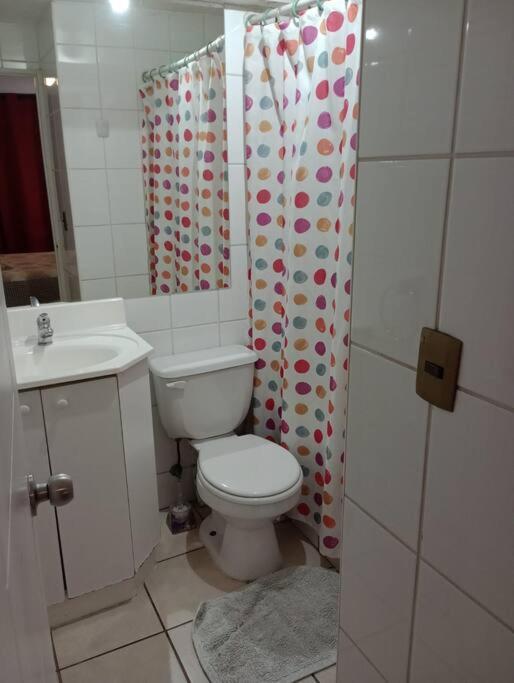 Apartamento Arriendo Departamento Santiago