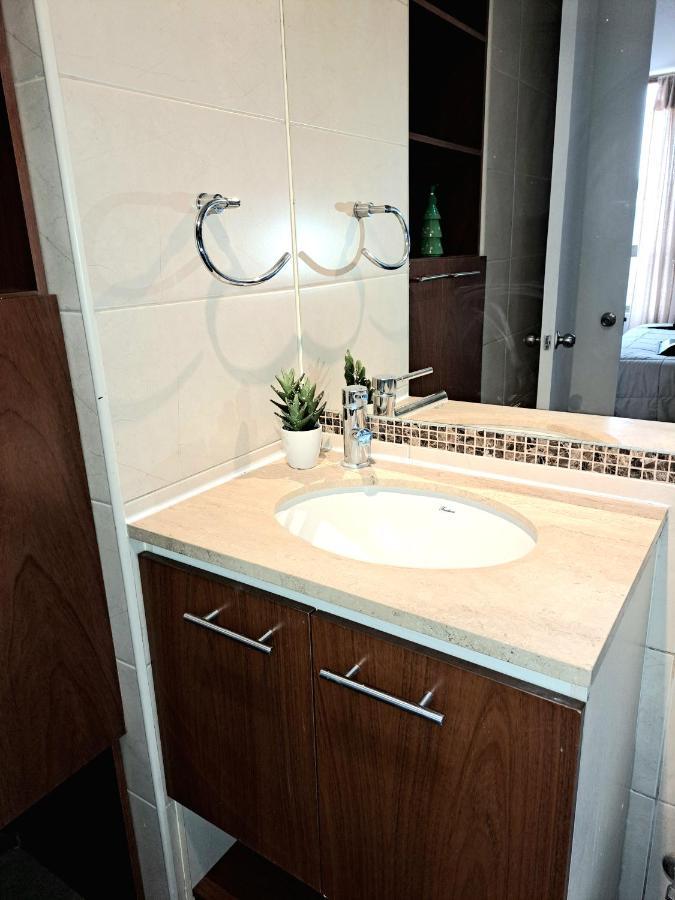 Depto Metro Moneda 1 Apartment Santiago