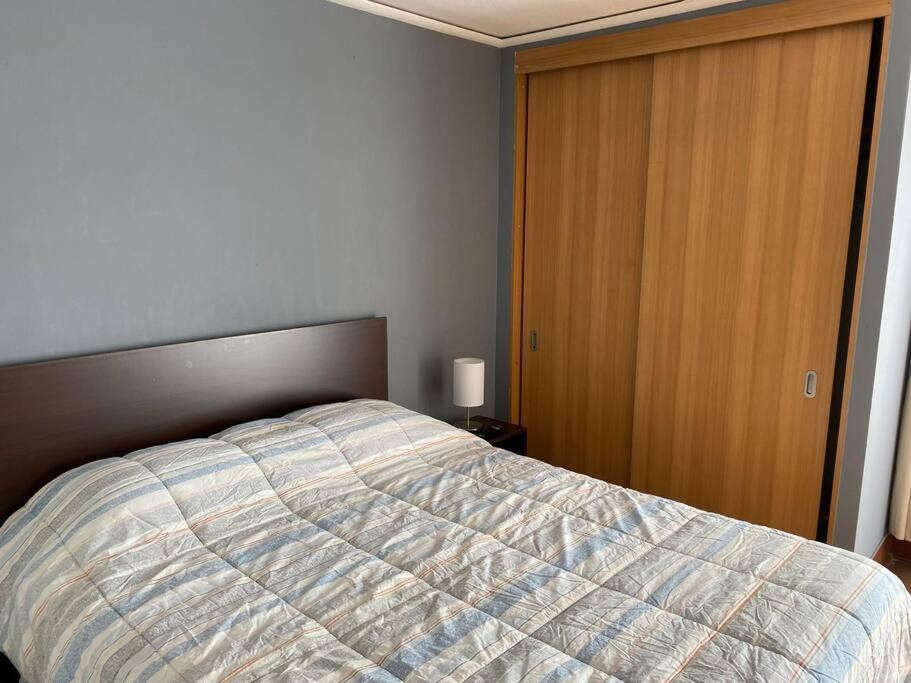 Centrico Comodo Pasos U De Chile Apartment