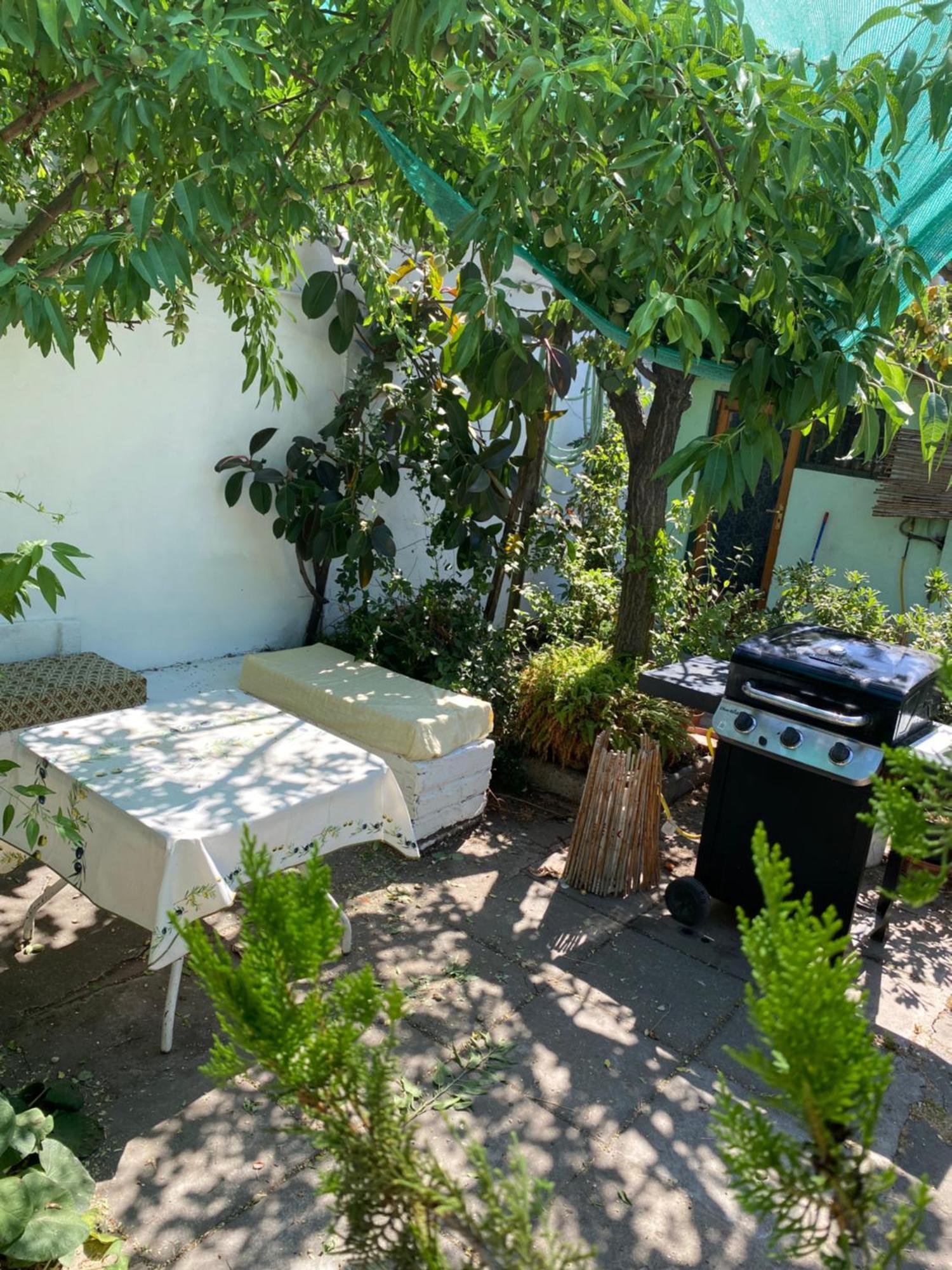 Apartment El Pillan 