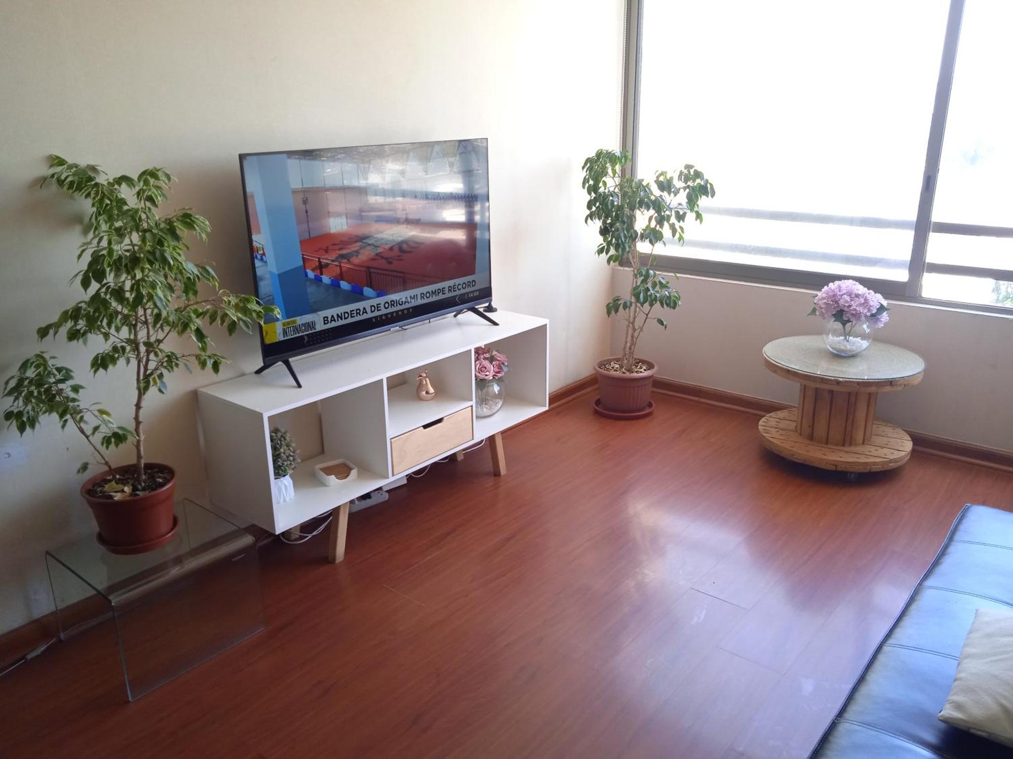 Apartment Departamento Centro Santiago