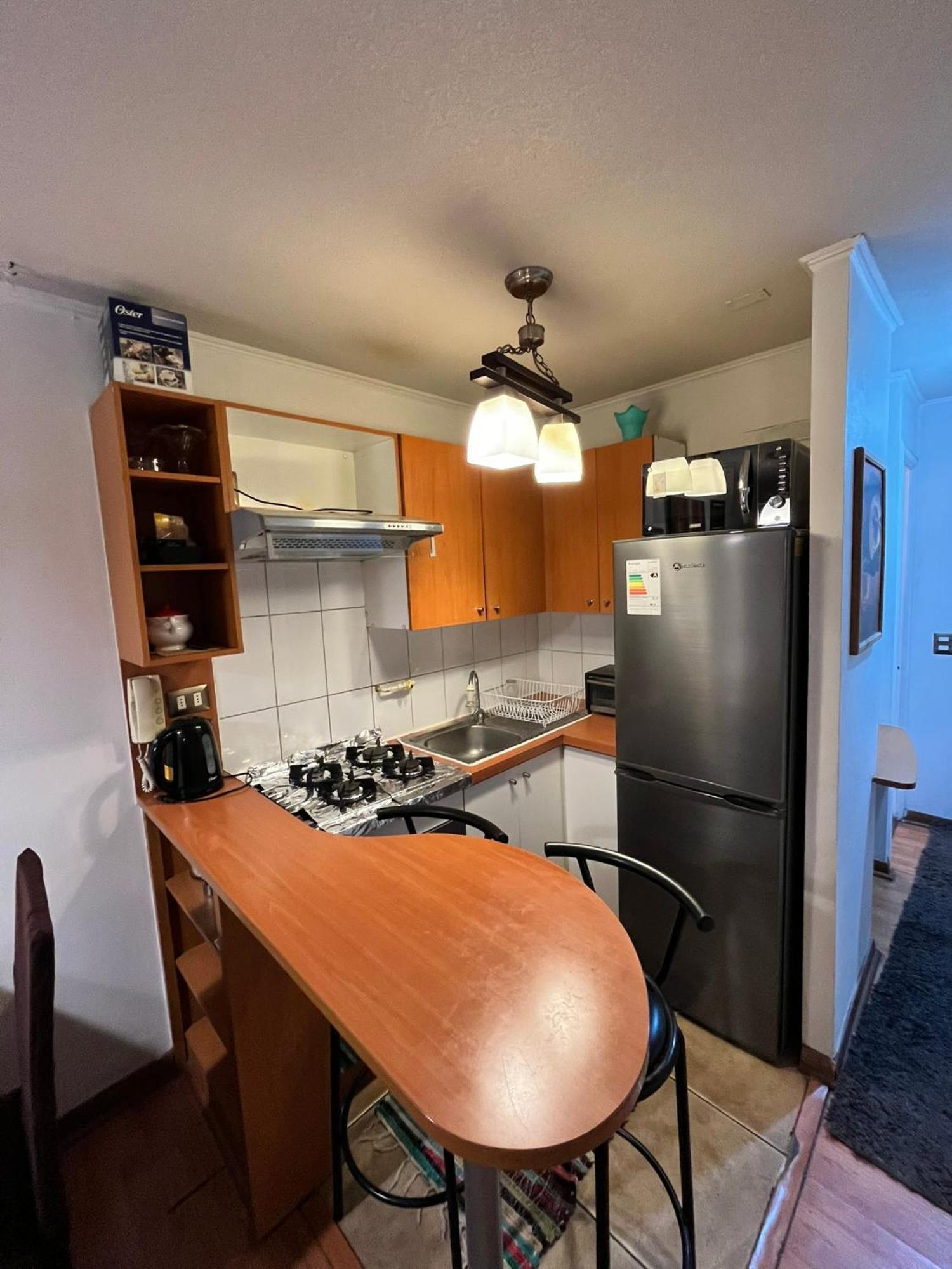 Full Equipado Centro Apartment Santiago