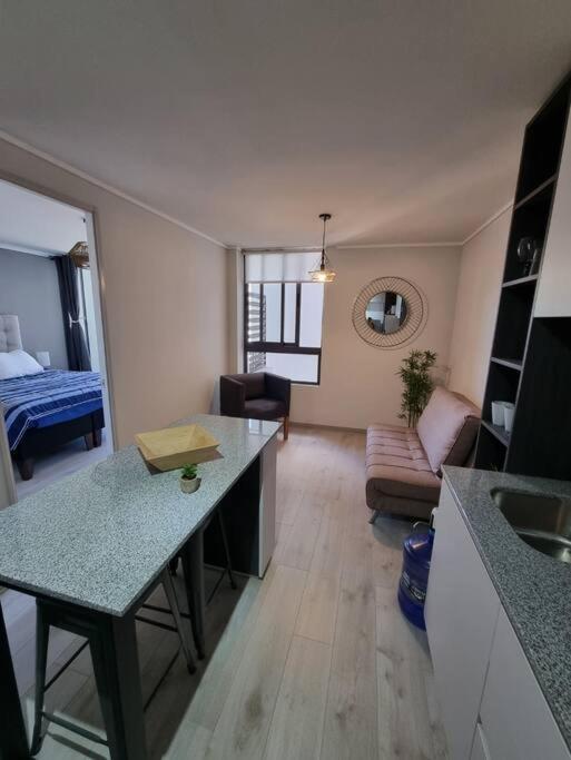 Apartamento Hermoso Y Comodo Departamento Santiago de Chile