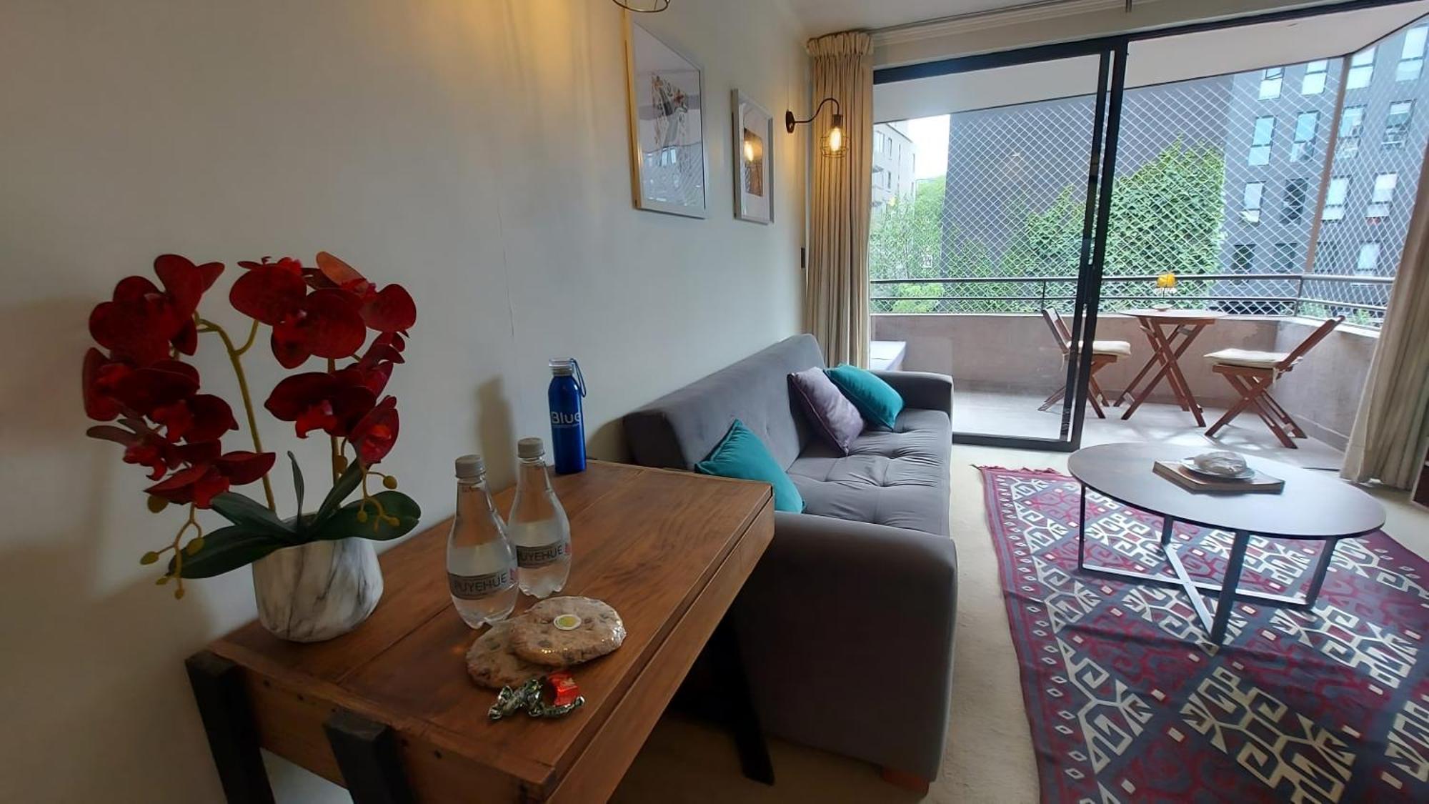 Apartamento Comodo Tranquilo Providencia * Santiago