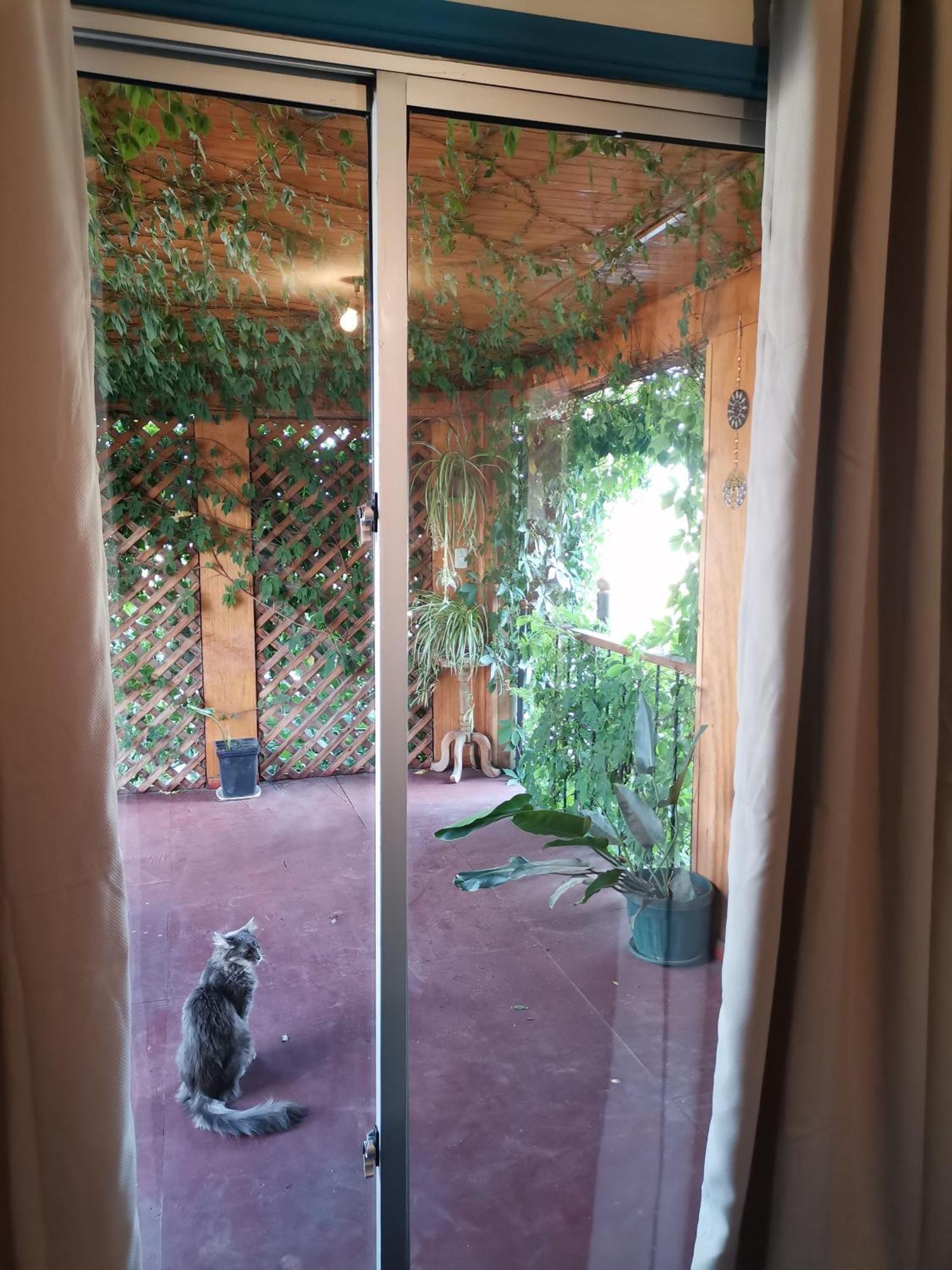 Molino Rojo Bed & Breakfast Santiago