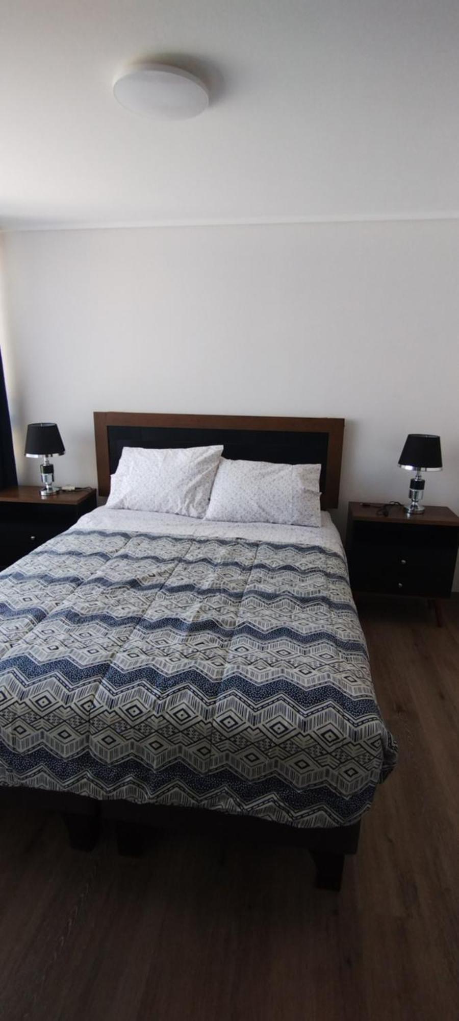 Hermoso Y Comodo Departamento Apartment Santiago