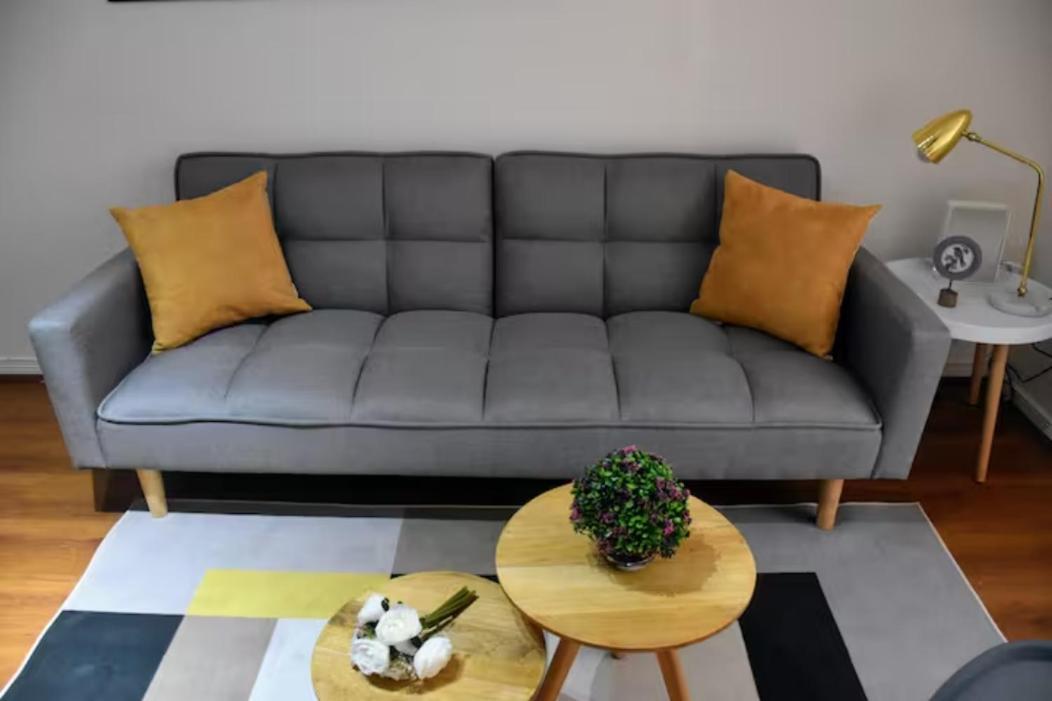 Loft Mestizo Apartment Santiago