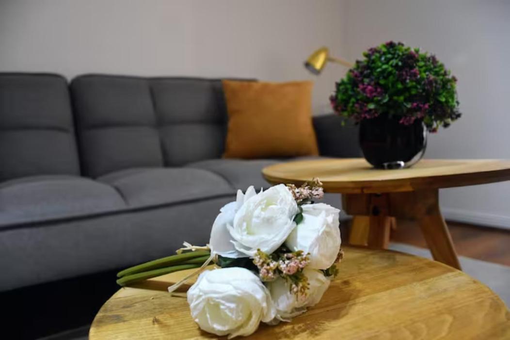 Loft Mestizo Santiago
