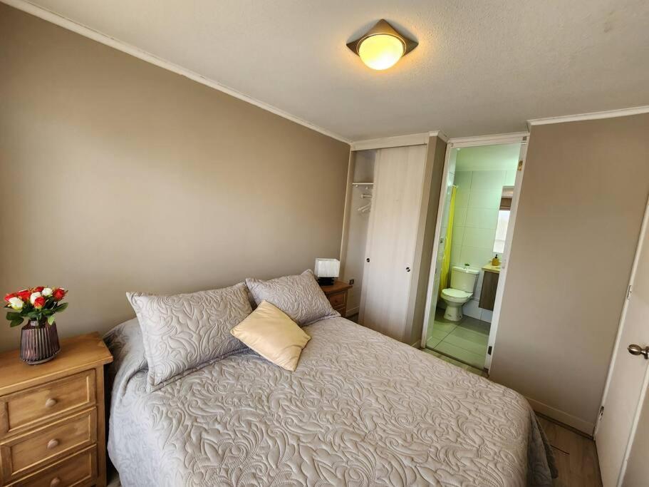 Apartment Acogedor En Centro De Santiago.