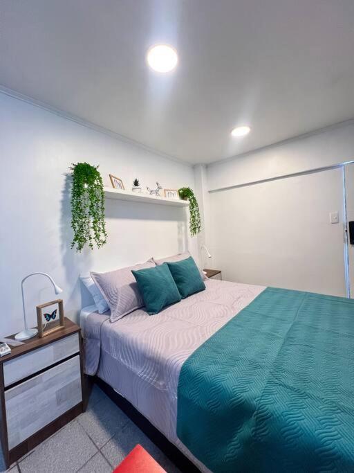 Apartment Full Providencia