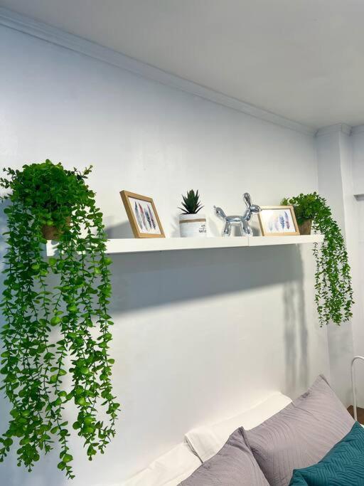 Apartment Full Providencia