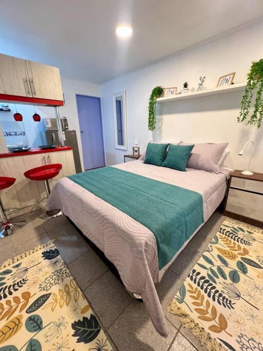 Apartment Full Providencia