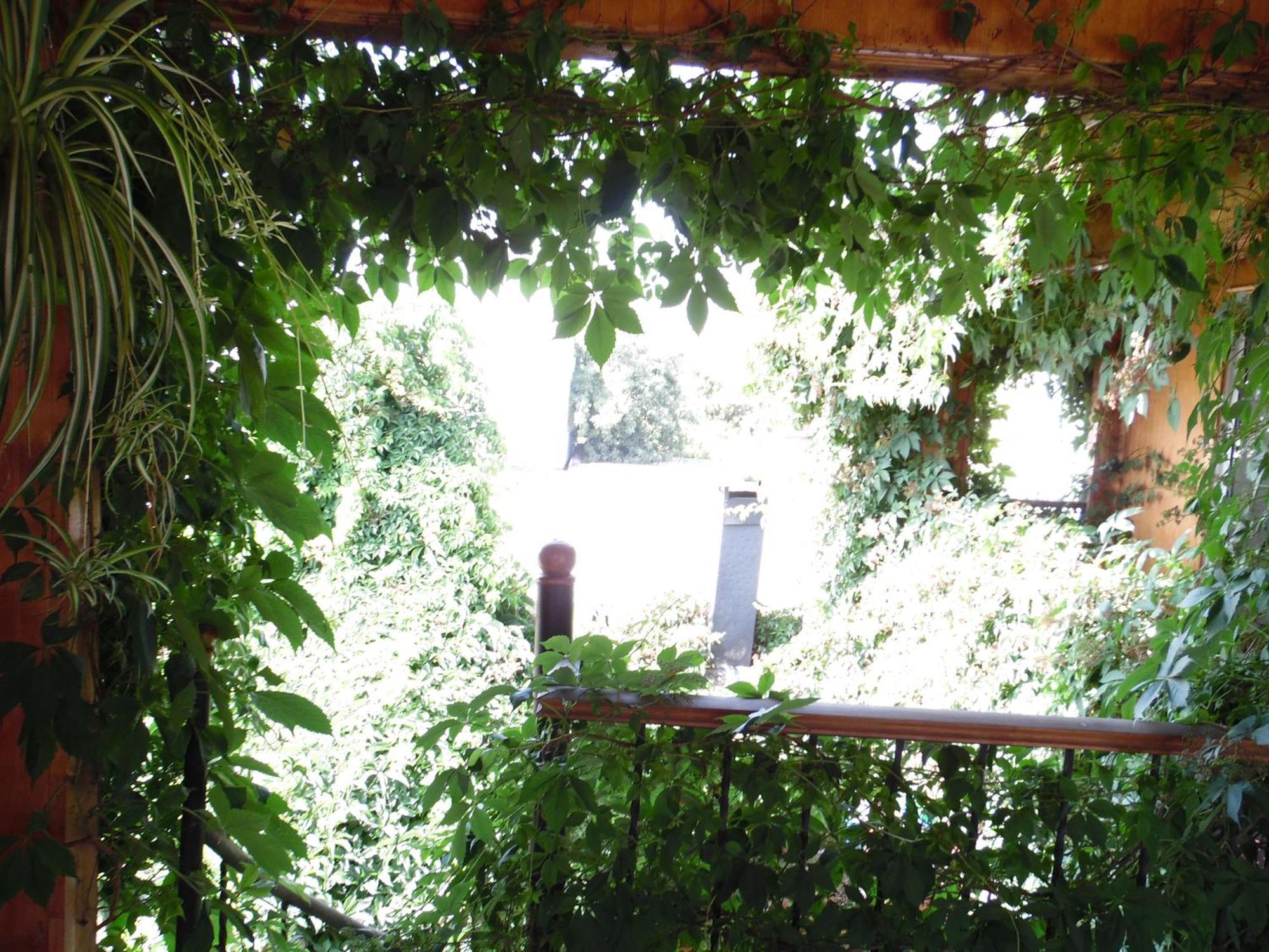 Bed and breakfast Molino Rojo