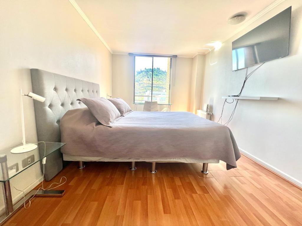Providencia Plaza Apartment Santiago