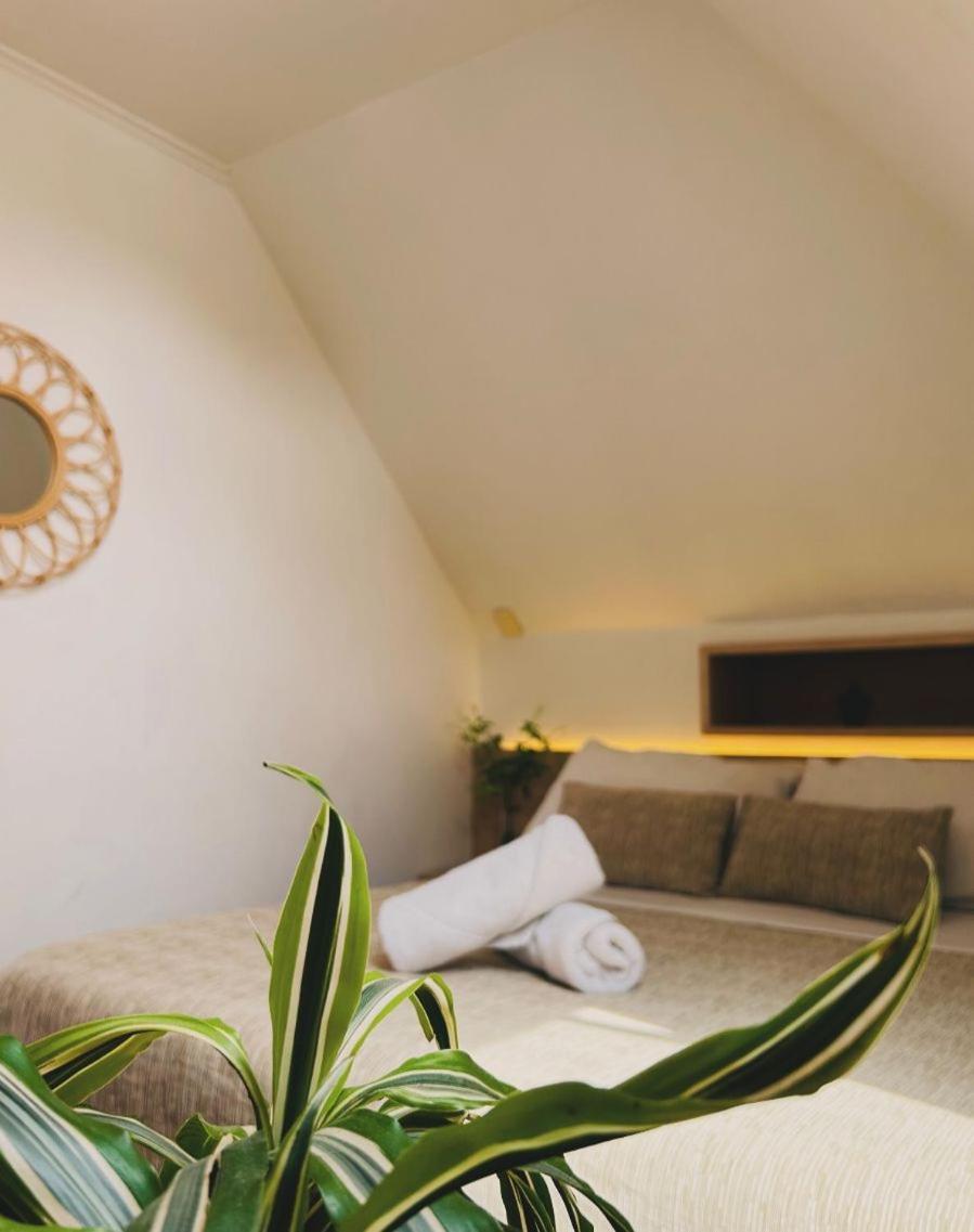 Yogi Hostel Santiago