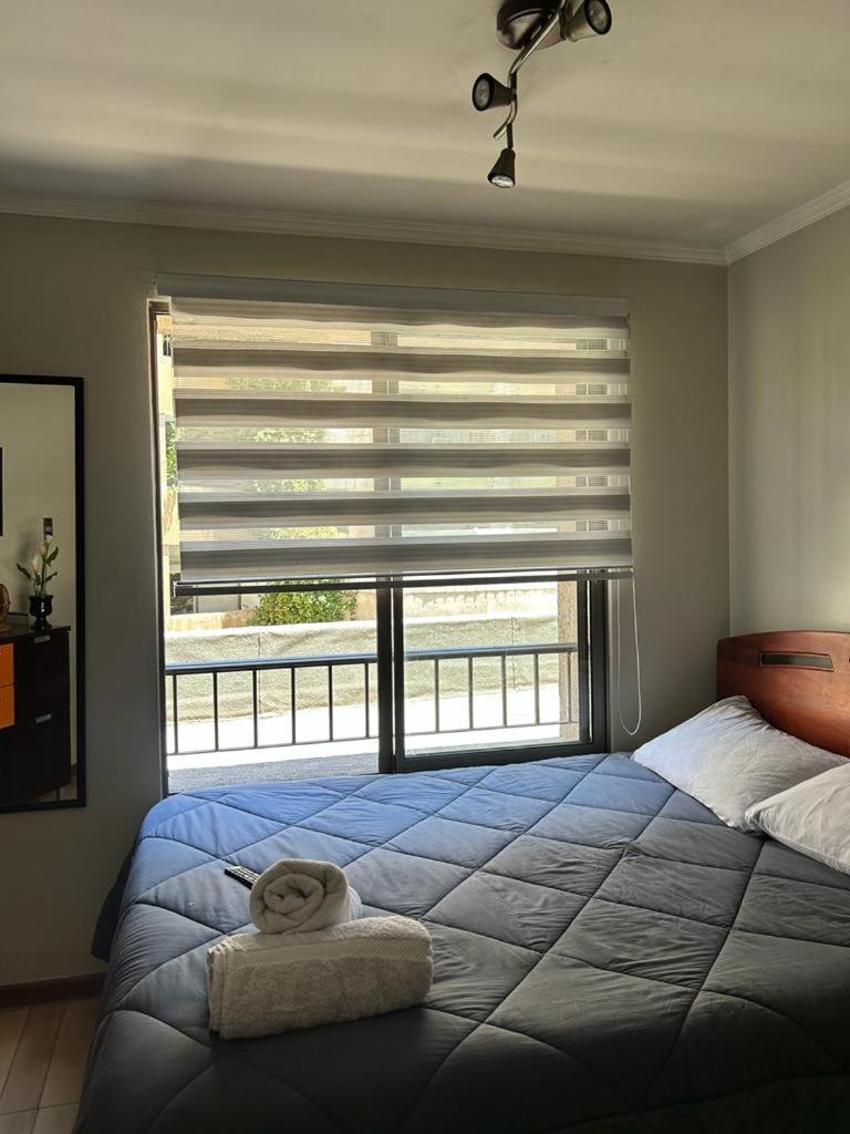 Dpto Acogedor En Lastarria Apartment