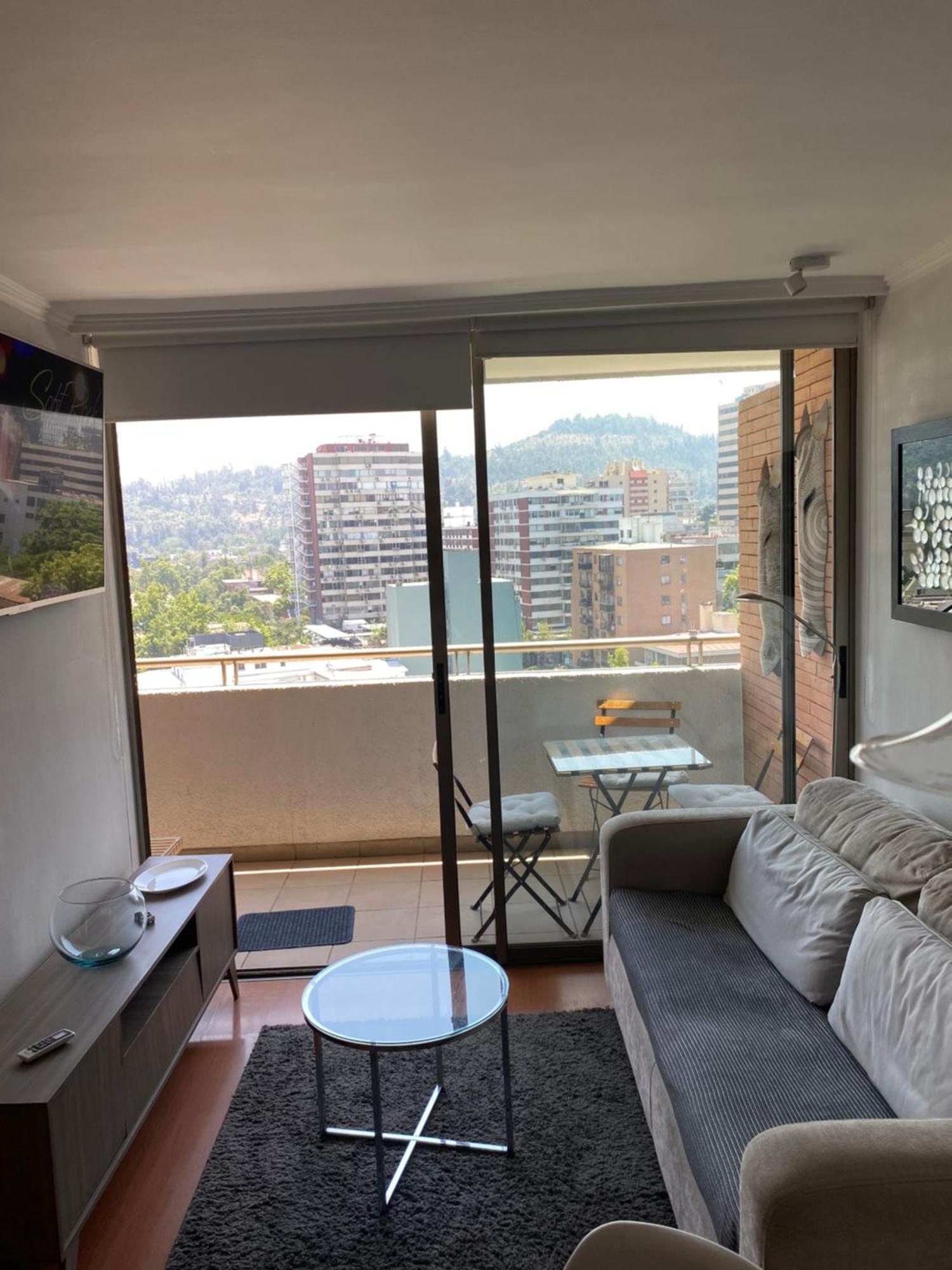 Precioso Departamento Providencia