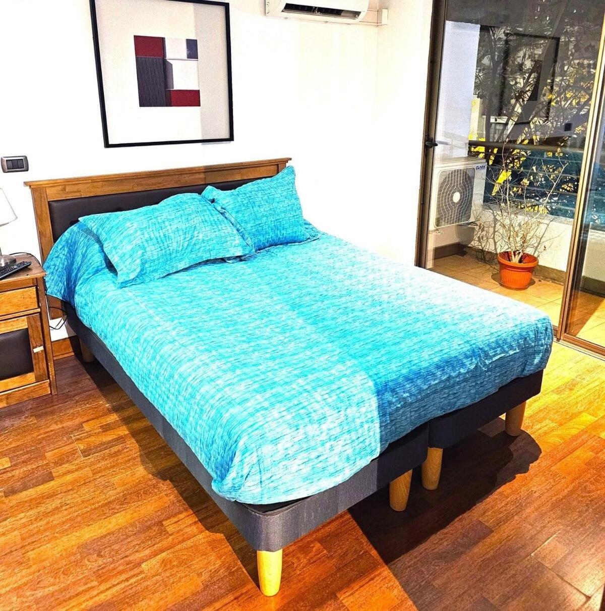 Metro Manuel Montt Apartrent Apartment Santiago