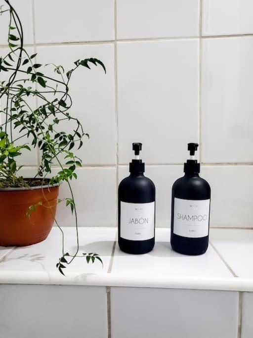 Un Oasis En El Centro De Apartamento *