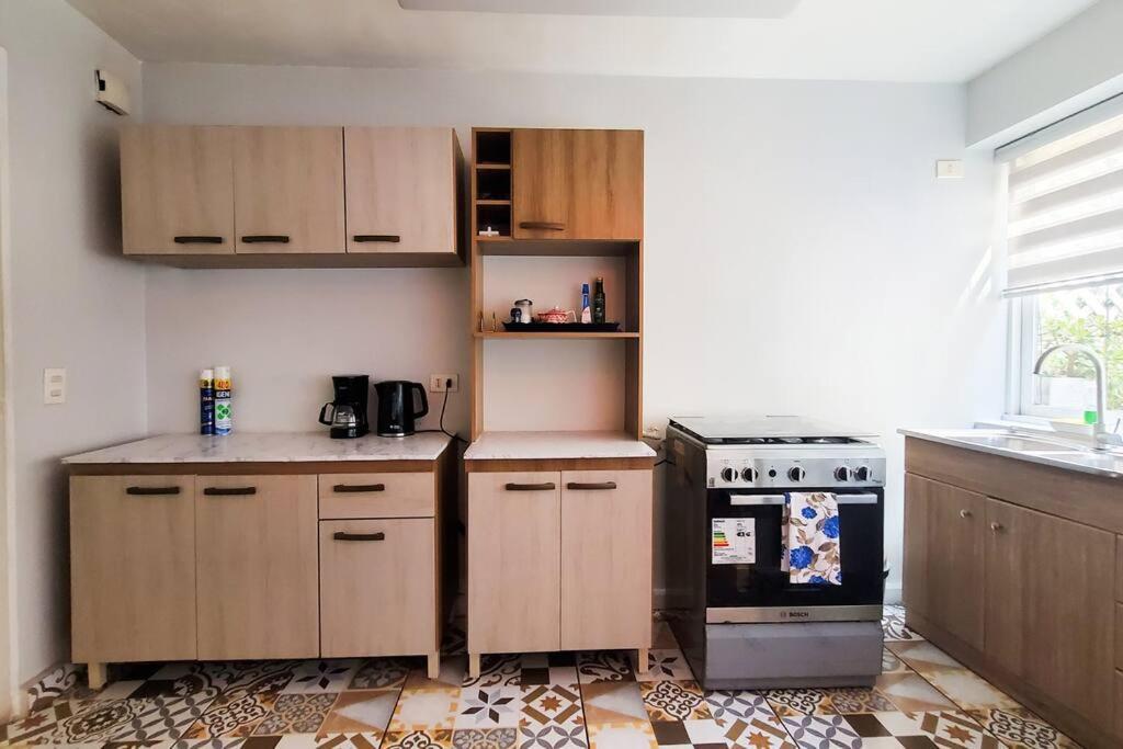 Un Oasis En El Centro De Apartamento Santiago de Chile